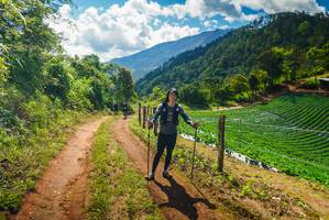 BIB: 
                            <button type="button" onclick="openModal(19156249)" class="btn btn-primary btn-sm float-right btn-popup" data-toggle="modal" data-target=".modal-high-quality">
                        <i class="fas fa-shopping-cart"></i> Add to Cart
                    </button>
                                            <button type="button" onclick="isThisMe(19156249, true)" class="btn btn-success btn-sm float-right btn-popup btn-isme hidden" data-toggle="tooltip" data-placement="bottom" title="นี่คือรูปของคุณใช่ไหม คลิกที่นี่เพื่อเอาเข้าอัลบั้ม">
                        <i class="fas fa-plus"></i> Add to album
                    </button>
                    <button type="button" onclick="isThisMe(19156249, false)" class="btn btn-warning btn-sm float-right btn-popup btn-isnotme hidden">
                        <i class="fas fa-ban"></i> Remove from album
                    </button>